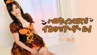 2884 Bé mực ngọt ngào ngày Halloween - 2884 Bé mực ngọt ngào ngày Halloween (2024)